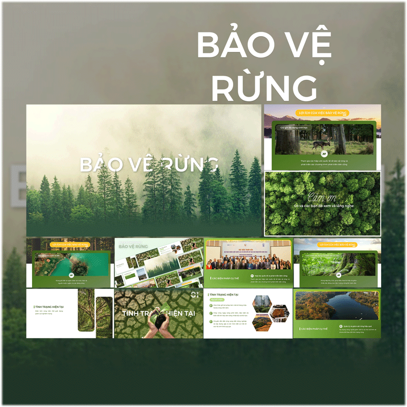 Powerpoint bảo vệ rừng